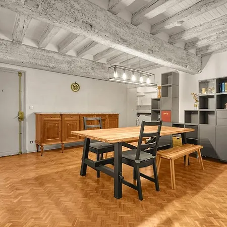 Apartament Le Loft Des Artistes Tuluza