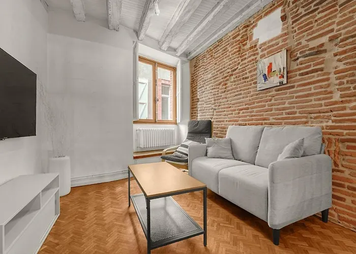 Le Loft Des Artistes Apartament Tuluza