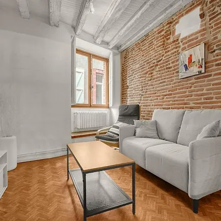 Le Loft Des Artistes Apartmán Toulouse