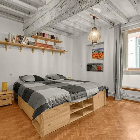 Apartmán Le Loft Des Artistes Toulouse