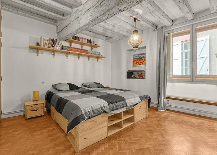 דירה Le Loft Des Artistes טולוז